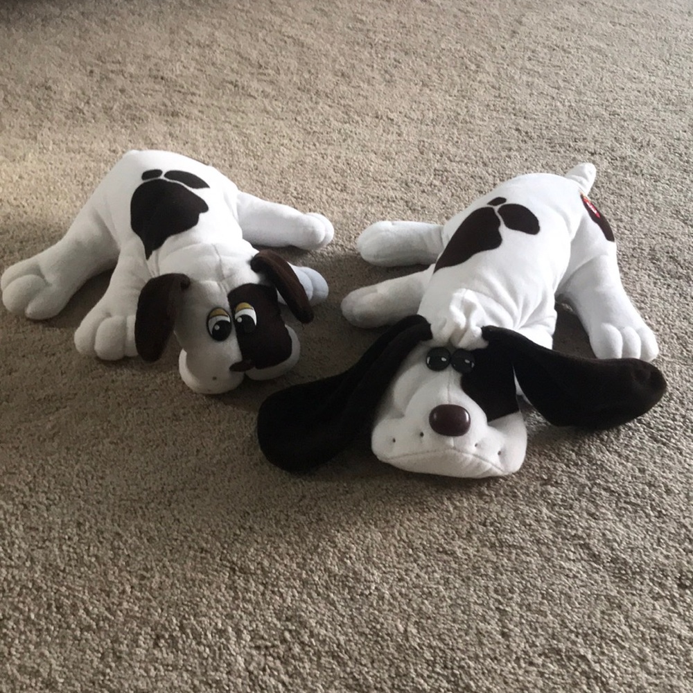 2 pound puppies